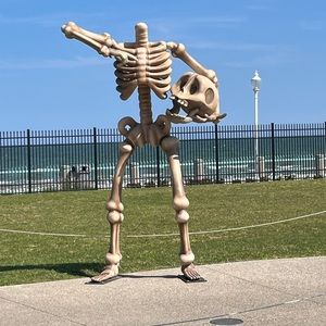 Meet your Posher, Kaitlyn